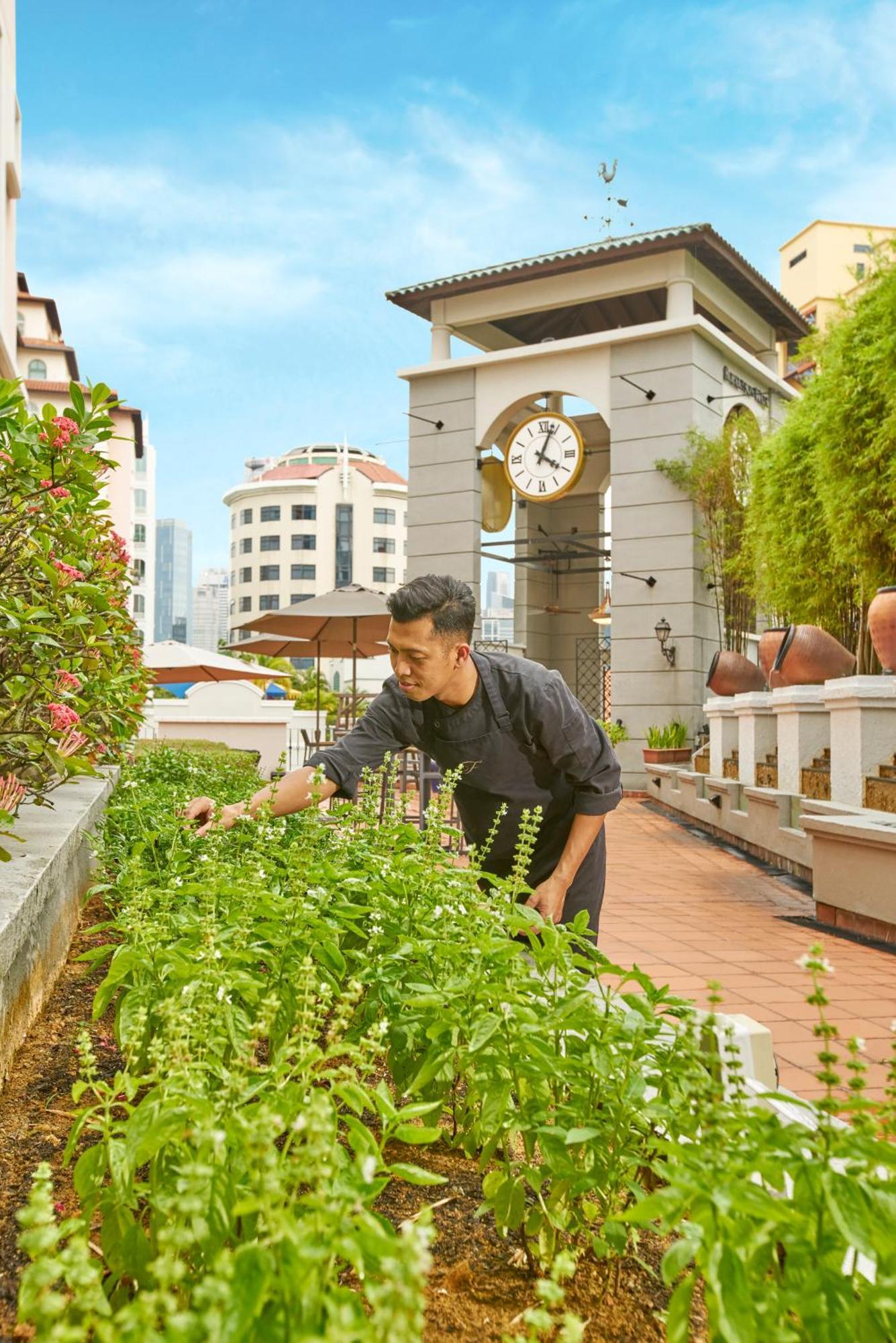 Fraser Place Robertson Walk Сингапур Екстериор снимка Chef at work at the hotel's rooftop garden